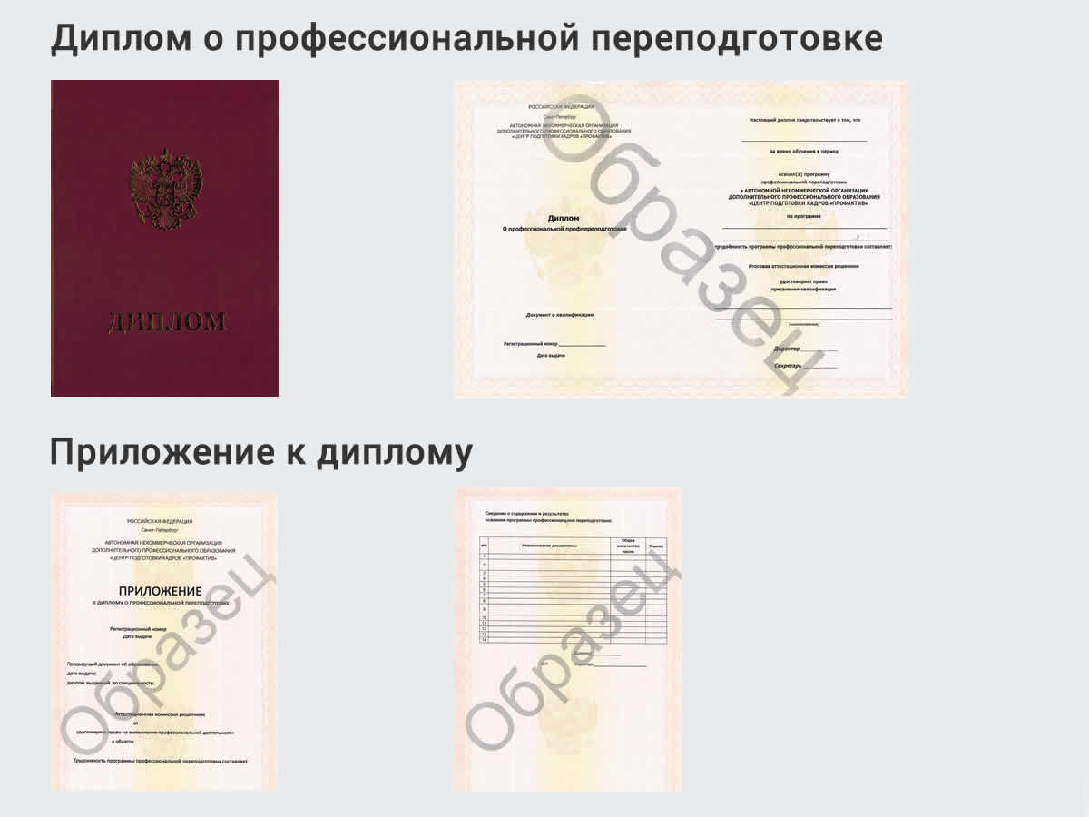  Профессиональная переподготовка по направлению «Инженерные системы» в Луге