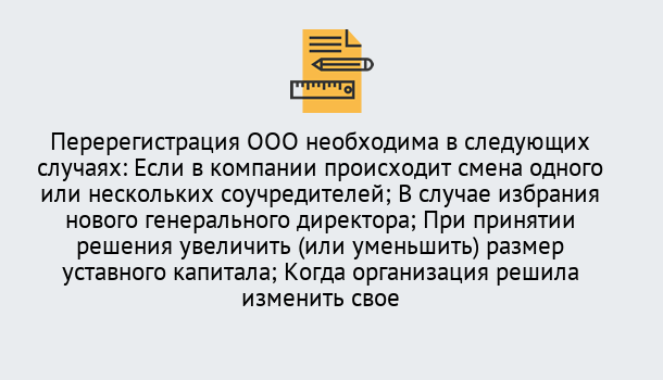 Почему нужно обратиться к нам? Луга Перерегистрация ООО: особенности, документы, сроки...  в Луга