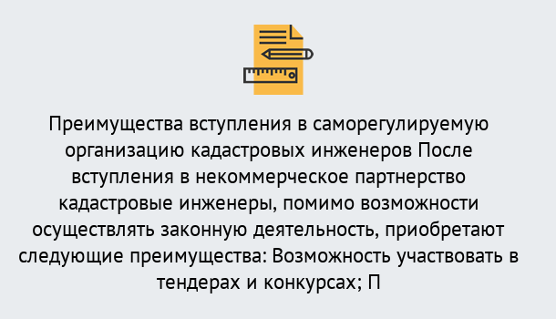 Почему нужно обратиться к нам? Луга Что дает допуск СРО кадастровых инженеров?