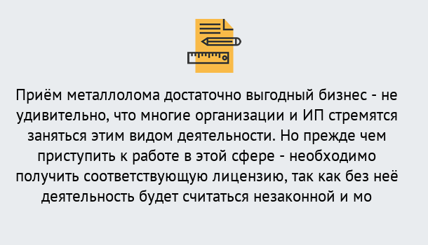 Почему нужно обратиться к нам? Луга Лицензия на металлолом. Порядок получения лицензии. В Луга