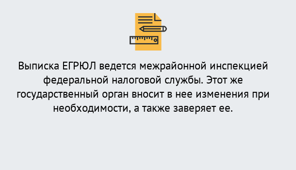 Почему нужно обратиться к нам? Луга Выписка ЕГРЮЛ в Луга ?