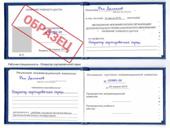 Обучение Оператор сортировочной горки