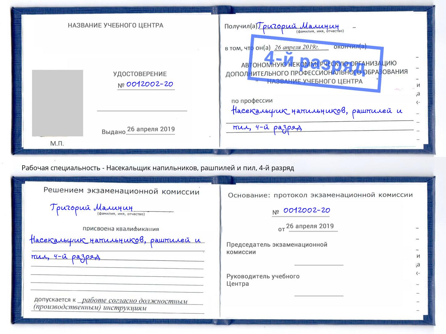 корочка 4-й разряд Насекальщик напильников, рашпилей и пил Луга