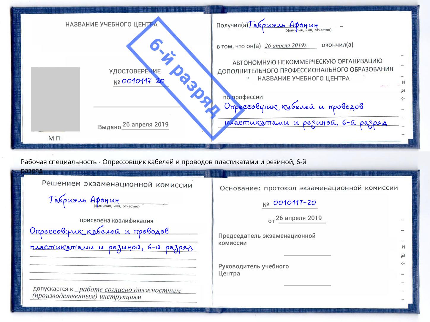 корочка 6-й разряд Опрессовщик кабелей и проводов пластикатами и резиной Луга