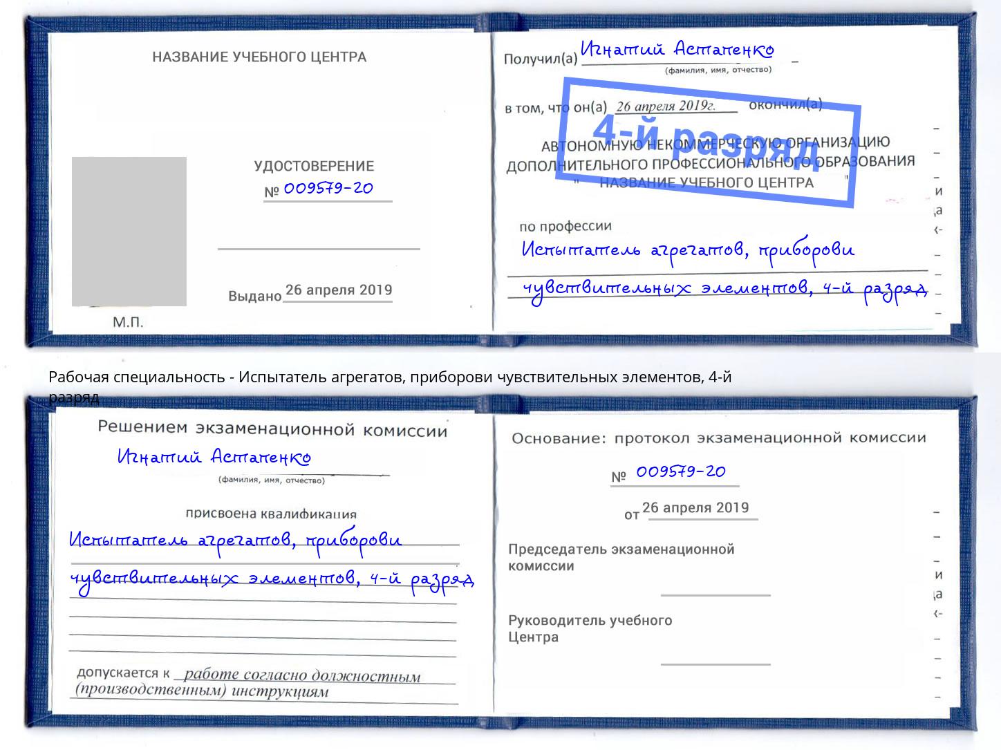 корочка 4-й разряд Испытатель агрегатов, приборови чувствительных элементов Луга