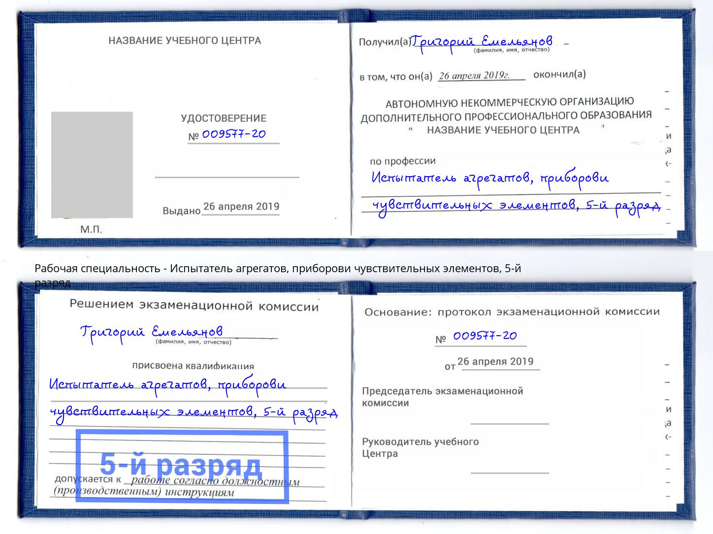 корочка 5-й разряд Испытатель агрегатов, приборови чувствительных элементов Луга