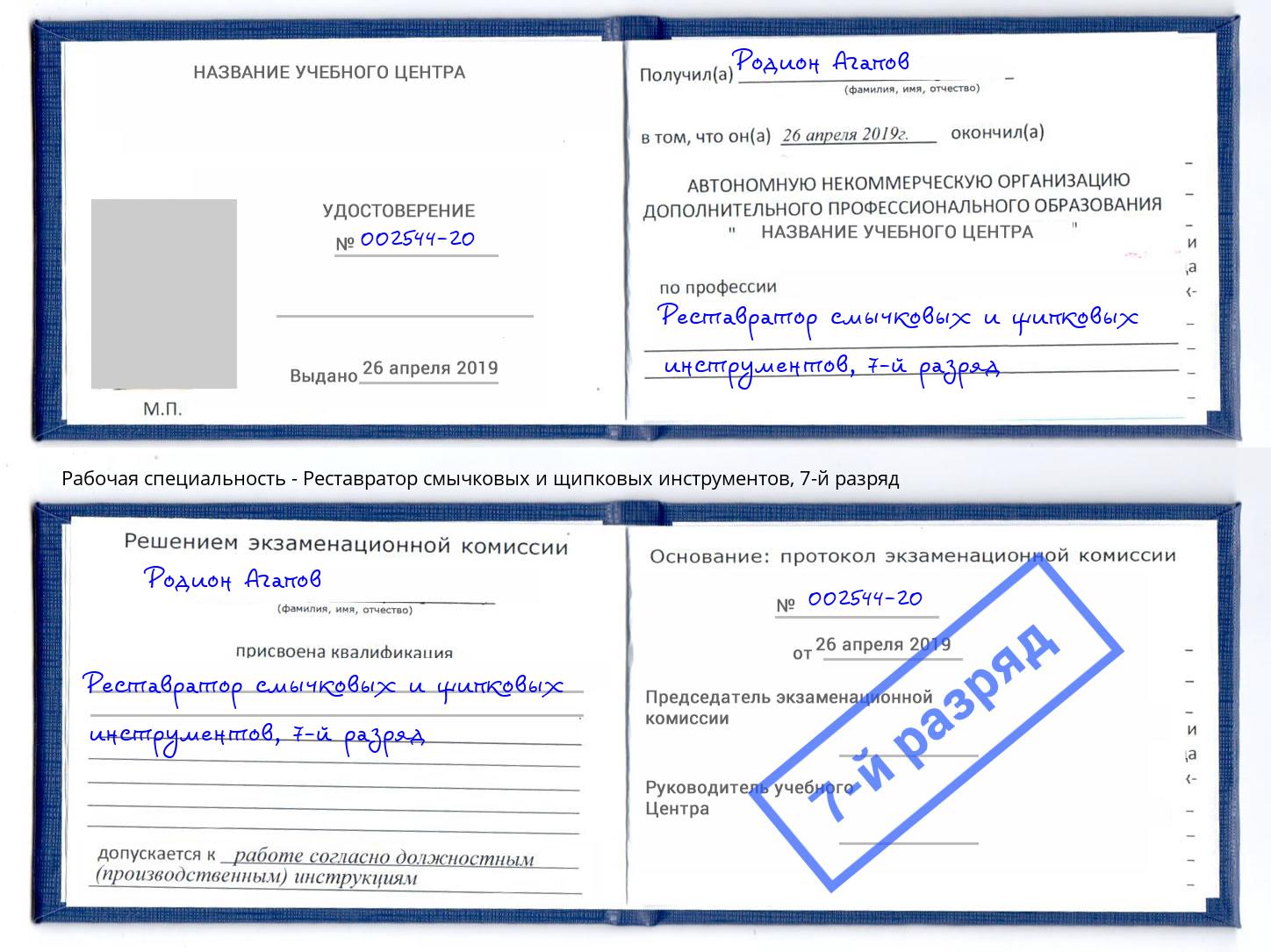 корочка 7-й разряд Реставратор смычковых и щипковых инструментов Луга