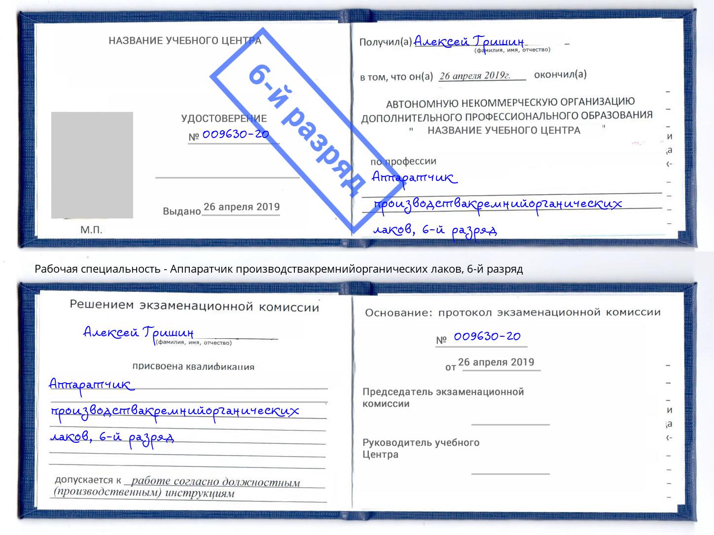 корочка 6-й разряд Аппаратчик производствакремнийорганических лаков Луга