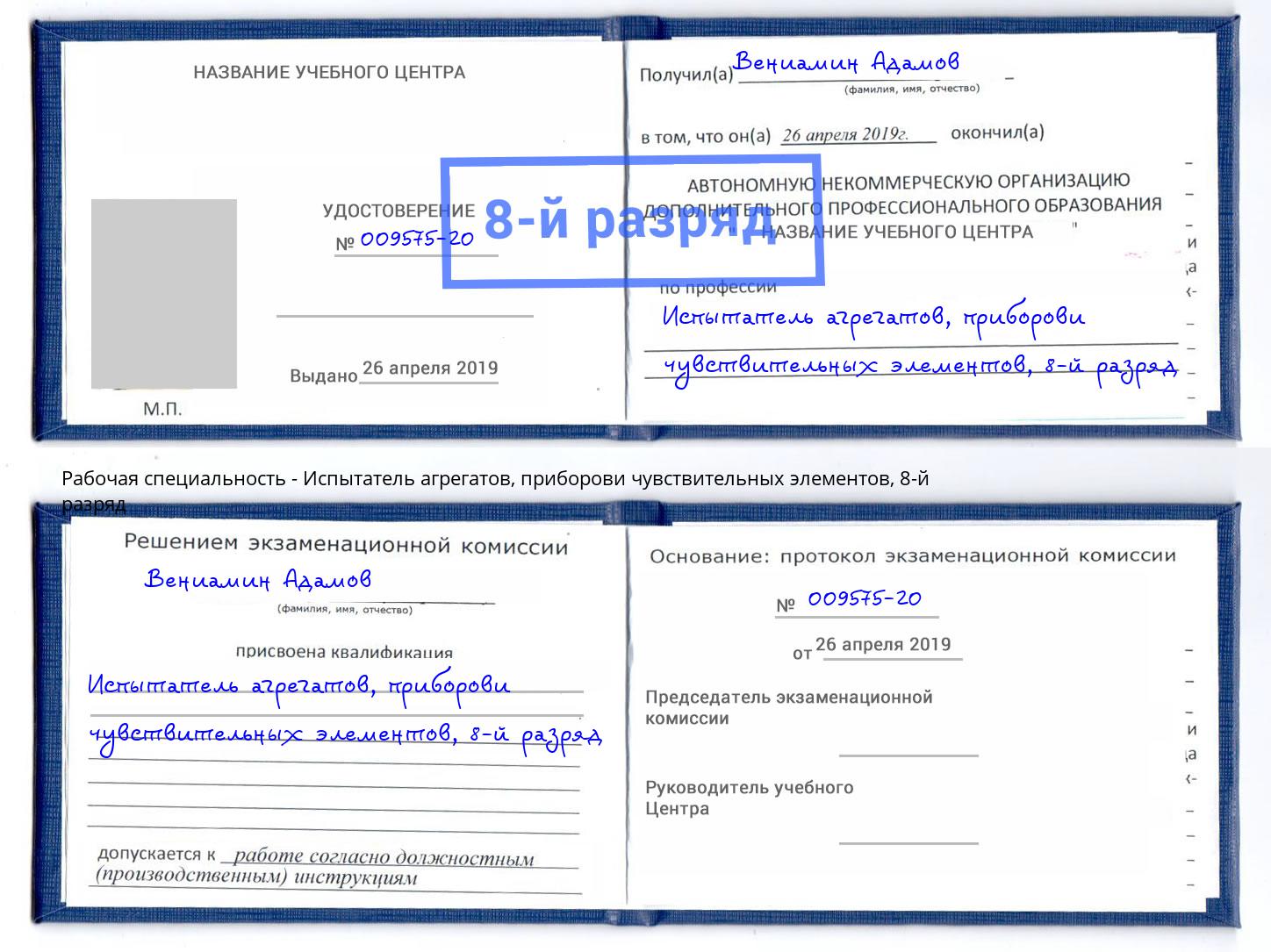 корочка 8-й разряд Испытатель агрегатов, приборови чувствительных элементов Луга